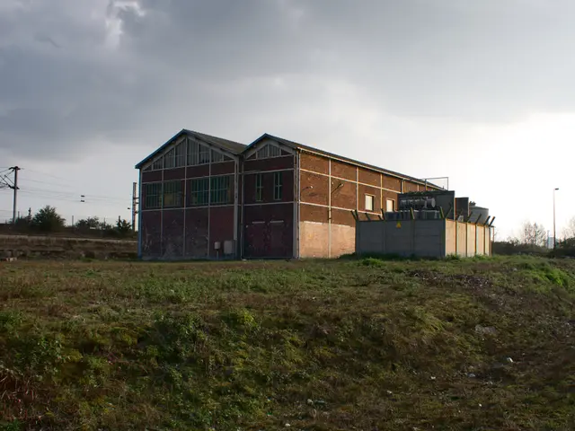 Intensifying Earthly Energies: Maintaining Balance Amidst Empathic Surges