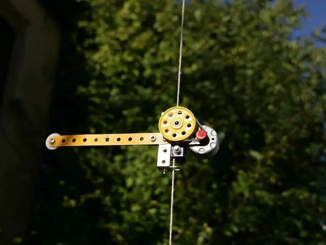 Adjustments in Lifestyle and Observation Methods for Left Bundle Branch Block Conditions