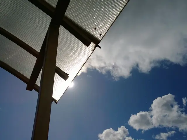 Utah's Seasonal Allergies and their Management through Sauna Sessions