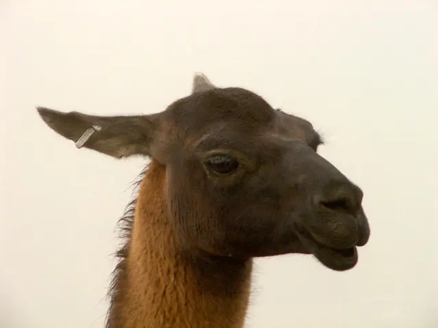 Unanticipated Passage Through the Ear Offers Novel Chance for Hearing Recovery