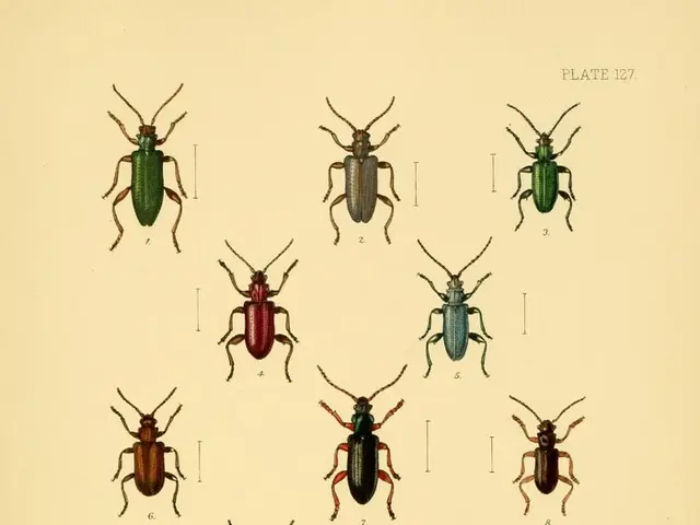 Interpreting the Hidden Symbolism in Your Nightly Visions