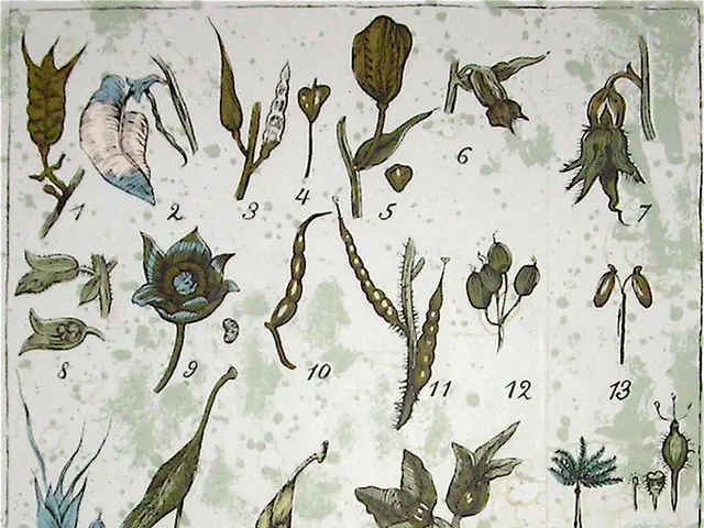 Genetic Modification Securing Variety in Natural Life Forms