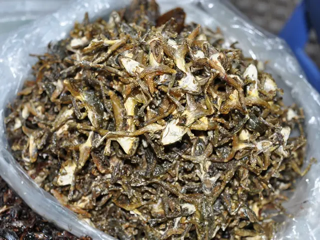 Dry Eye Treatment with Fish Oil: Varieties, Advantages, Potential Hazards