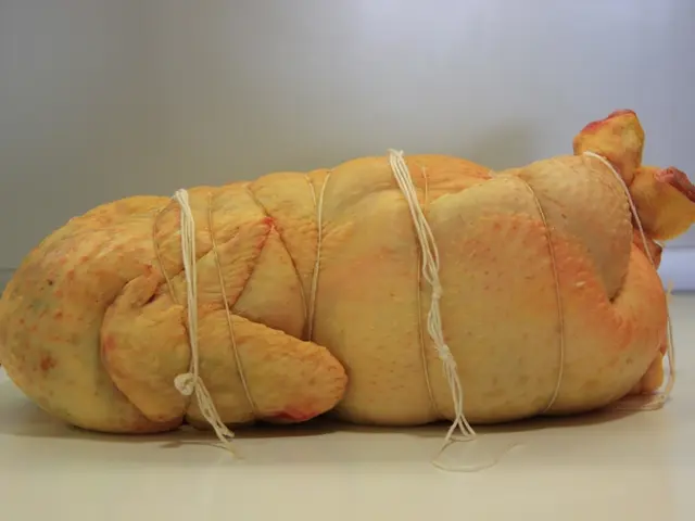 Unresolved Clinical Issue: Hunter's Uncommon Allergy Prevents Him from Consuming Red Meat