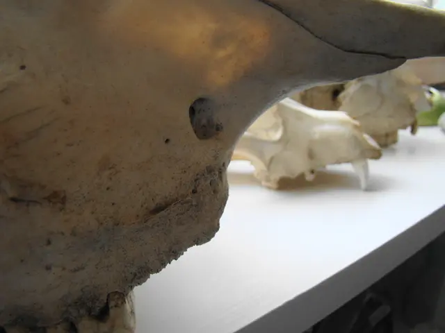 Proposal sought for a directive safeguarding workers from ionizing radiation risks, as per the...