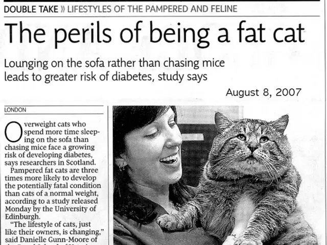 Escalating domestic insecurity prompts increased funding for women's shelters and counseling...