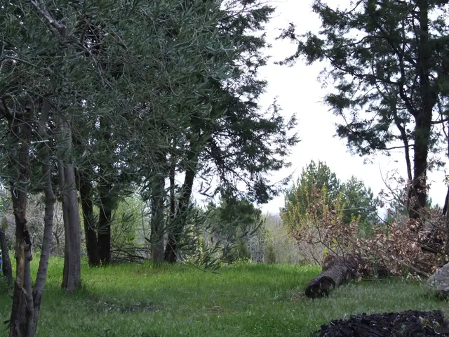 Artificial Intelligence's Impressive ChatGPT: Does It Hold Potential for Specialty Subjects?