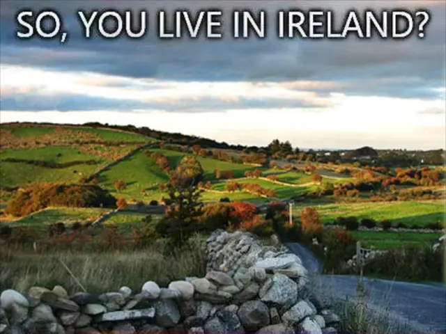 Intense heatwave results in 264 additional fatalities