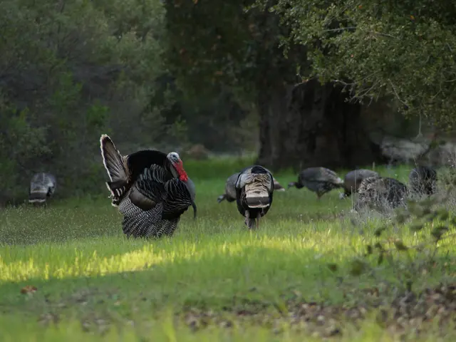 Life span in Turkey reaches 78 years, according to TUİK statistics