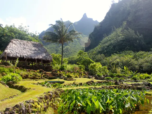 Pain in Your Genitalia: Possible Causes Explained