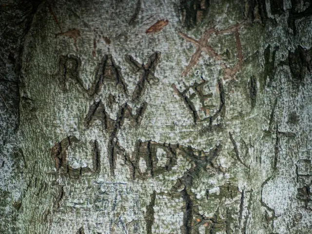 Uber rolls out Senior Accounts and Simplified Interface Options throughout the Middle East and...