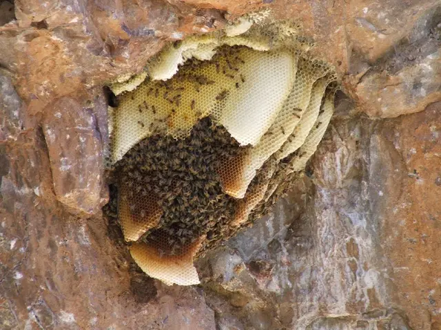 Symptoms, Causes, and Treatment of Angioedema and Hives: A Comprehensive Guide