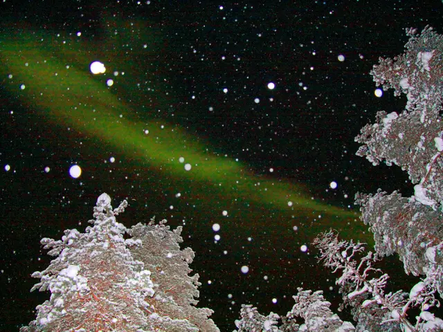 COVID-19 cases remained steady in Pforzheim and Enzkreis districts