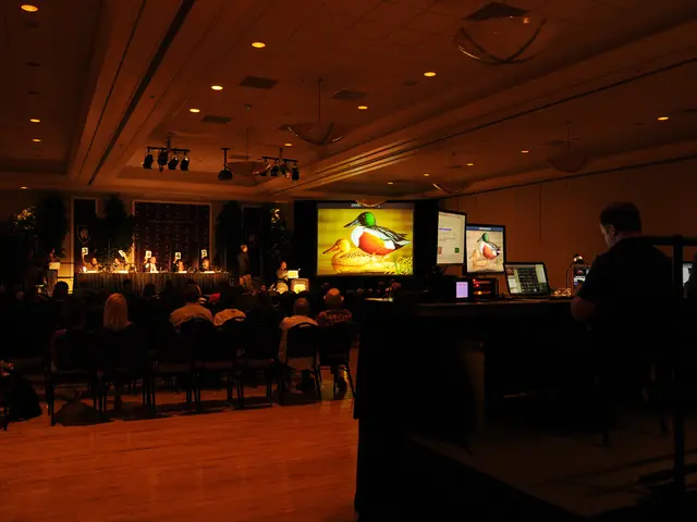 Workplace Dynamics Shaped by the Hawthorne Effect: How Focus Leads to Enhanced Productivity