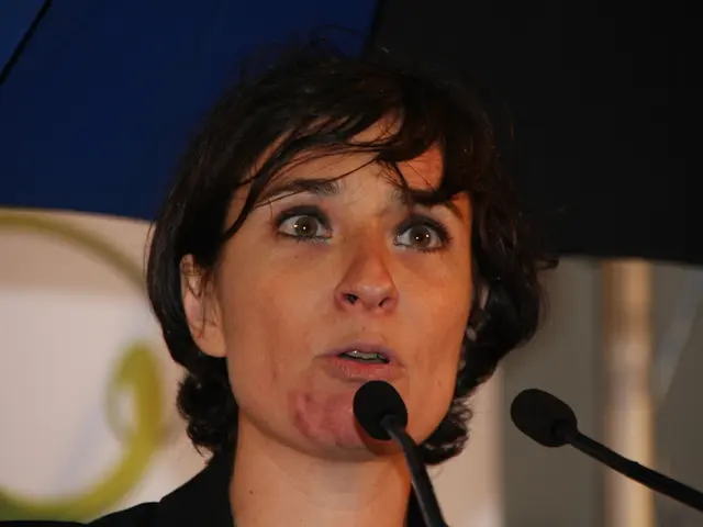 Criticism voiced by Malte Spitz towards the handling of individuals who stutter in Germany