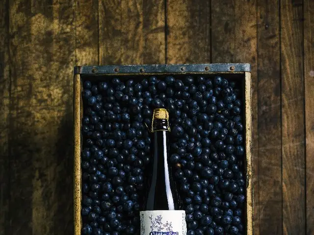 Elderberry's impact on diabetes: Examining advantages and potential drawbacks