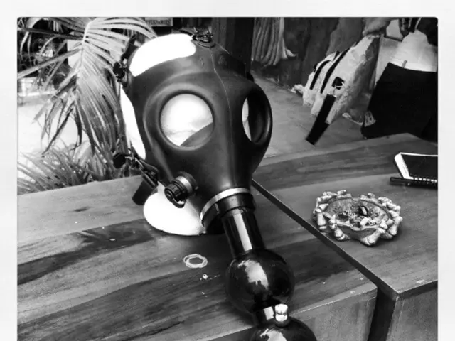 Top Indoor Plant Choices for Optimal Wellbeing