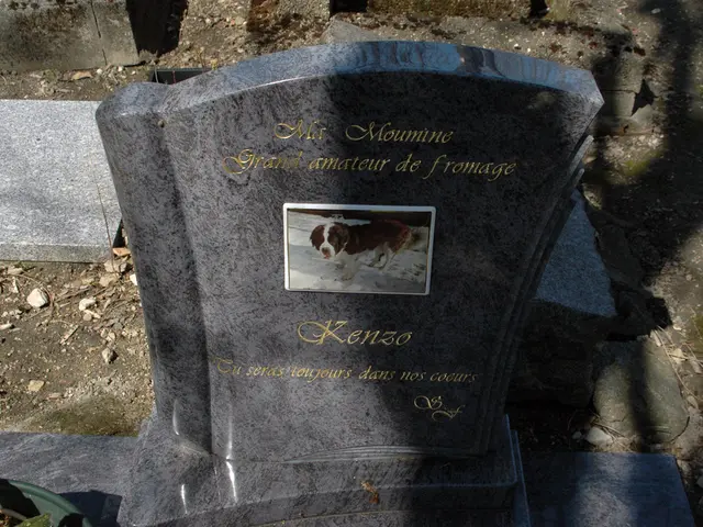 Unveiled Secrets: Interpreting the Symbolic Significance of the Mausoleum