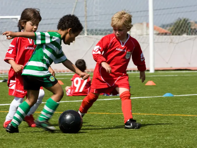 Enhancing Brain Performance: Tapping into Your Cerebral Capabilities