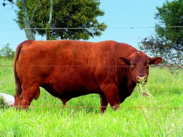 Discovered: Avian Flu in U.S. Livestock