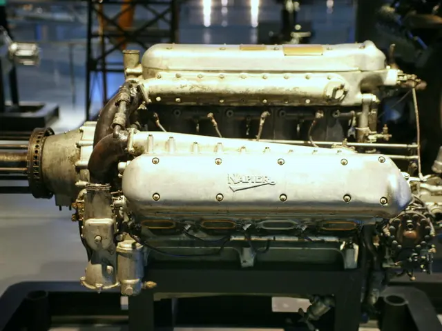 Google accepts Daiser into its AI accelerator program