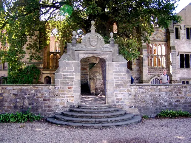 Elderly man potentially meets his demise during forestry operations