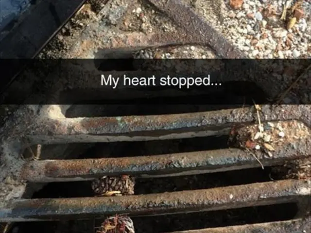 Sudden Cardiac Demise in Youth: The Culprits Explored