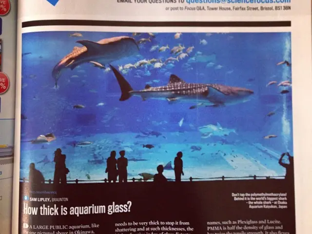 Unveiled gene potentially responsible for millions of diabetes instances.