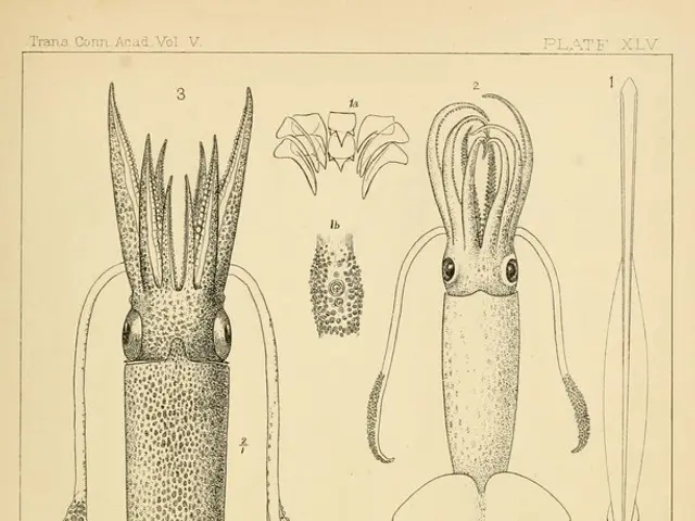 Ancient Flying Dinosaur From Germany's History Resided in Southern Eifel Region