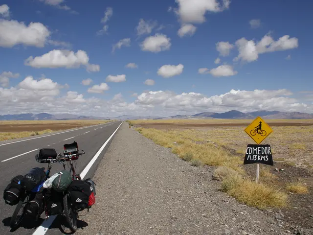 International Body Urges Immediate Humanitarian Access in Gaza Region