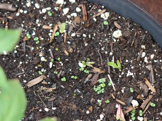 Soil Health as a Potential Response to Climate Change Crisis?