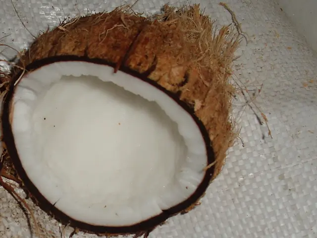 Coconut Oil: A Multipurpose Oil, Used in Cooking and for Health Benefits