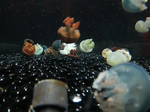 Increase in fatalities linked to flesh-eating bacteria: Identifying potential vulnerable groups