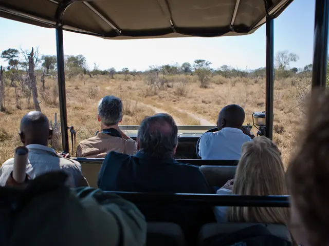Ray of hope amidst the gloomy woods