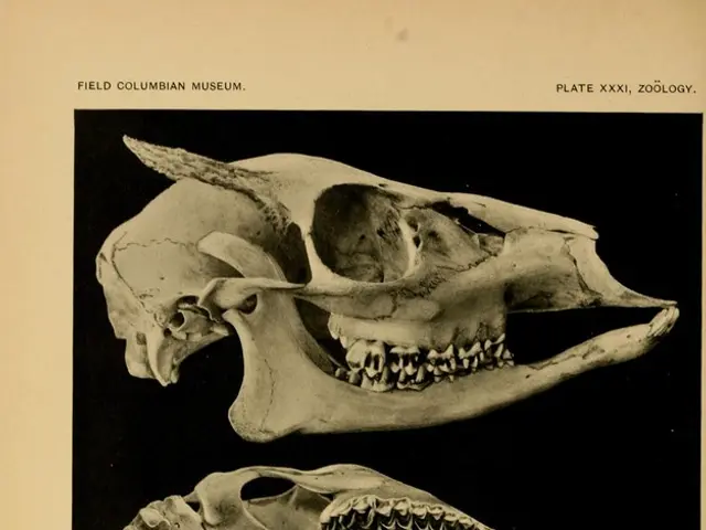 Uncommon Genetic Alterations and Their Influence on Cognitive Aging Processes