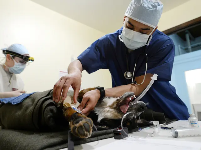 Delivering breaths through bag mask ventilation: What's the process?