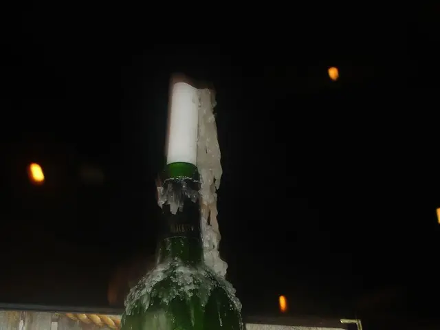 Strategies for Stronger Heart Health: Nutrition, Physical Activity, and Beyond