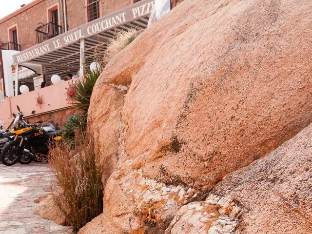 Accidental gas incident in Schrebergarten claims life of a 41-year-old man and leaves a 50-year-old...