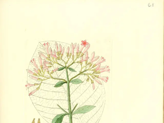 Author and Sara Walker discuss Life's Most Remarkable Innovations