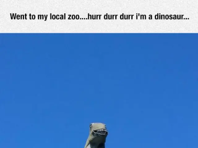 The Science Unveiling the Link Between Brain Development and Our Identity: An Insight into What...