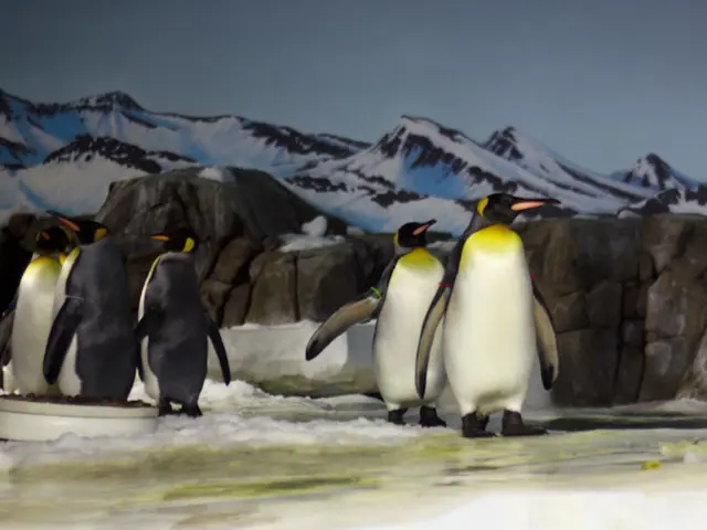 Catastrophic Predictions for Greenland's Melting Ice Cap