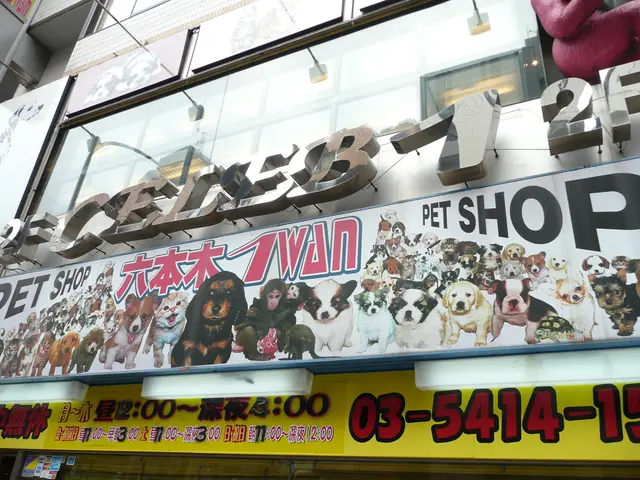 Research reveals potential link between living in certain neighborhoods and increased dementia risk