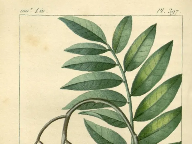 The small labels on fruits and vegetables reveal hidden details about their origin and handling...