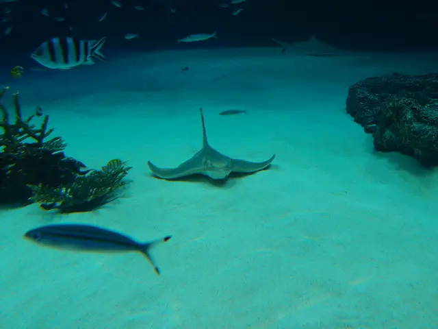 Global Water Pollution Threat: A Common Conundrum