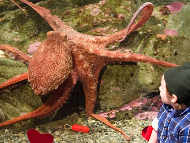 Eczema Sores: Remedies and Additional Information