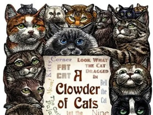 Hanoi initiates trial program for rabies control and assistance in transitioning the dog and cat...