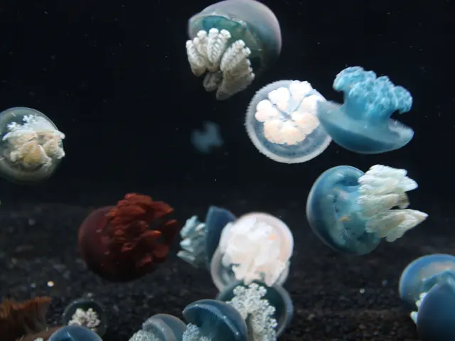 Nuclear power station faced overpowering dominance by jellyfish, demonstrating the formidable might...
