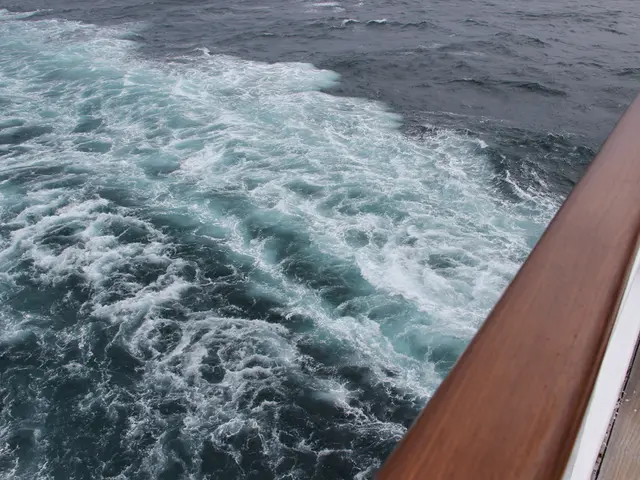 River Swimmer Successfully Rescued on the Rhine