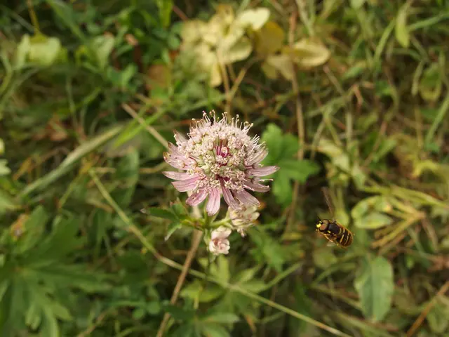 France implements contentious legislation restricting pesticide usage