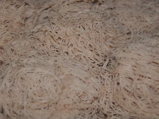 Consuming instant noodles daily: Impacts on one's health explored